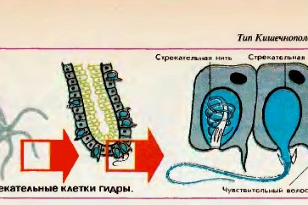 Ссылка на кракен свежая